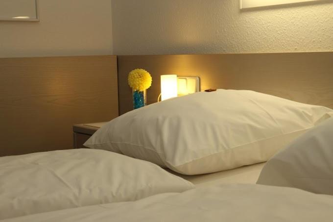 Hotel Und Gasthof Zur Laute Минделхайм Екстериор снимка